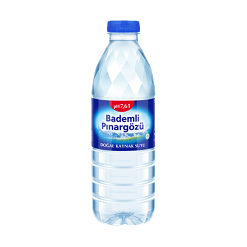 Bademli Pınargözü 500 ml şişe su
