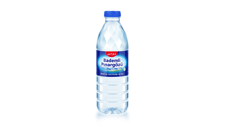 Bademli Pınargözü 500ml Şişe Su
